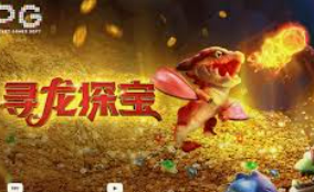 6686下载2024最新版