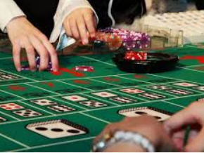 6686下载2024最新版